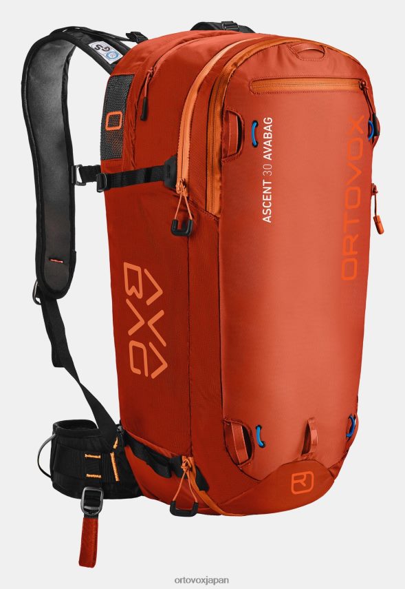 ORTOVOX ascent 30 avabag avabag ユニットなし ユニセックス デザートオレンジ T8N0B61514 バッグ
