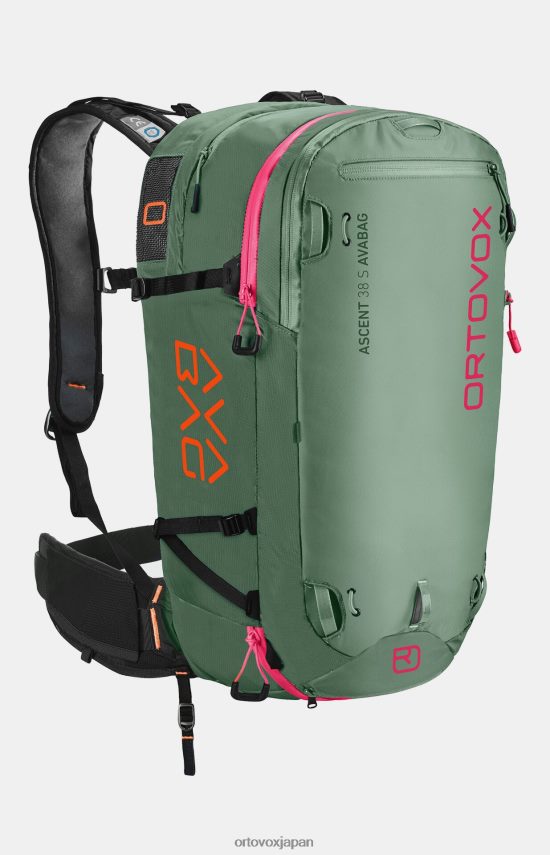 ORTOVOX ascent 38 s avabag、avabag ユニットなし ユニセックス 緑のイザール T8N0B61521 バッグ